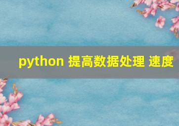 python 提高数据处理 速度